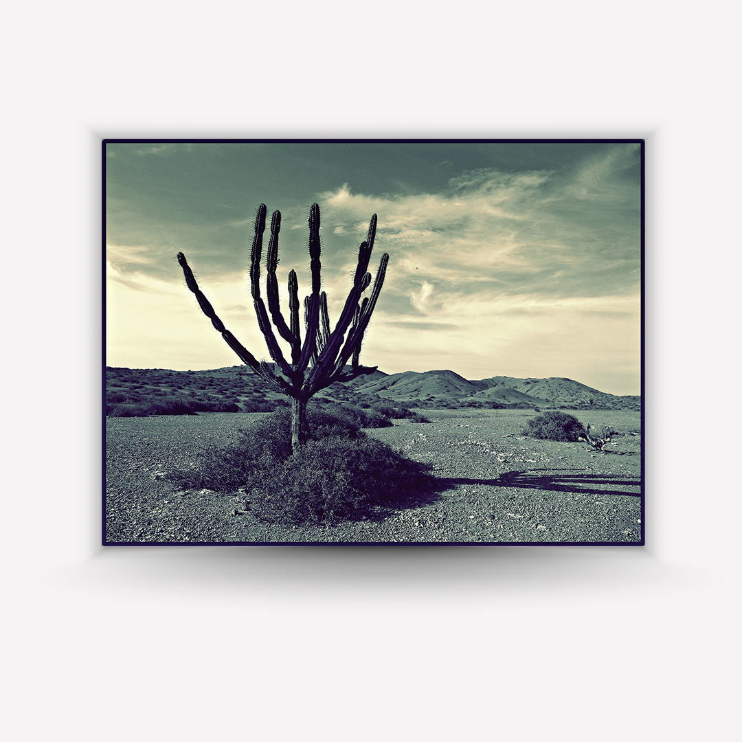 Desierto Cabo de la Vela