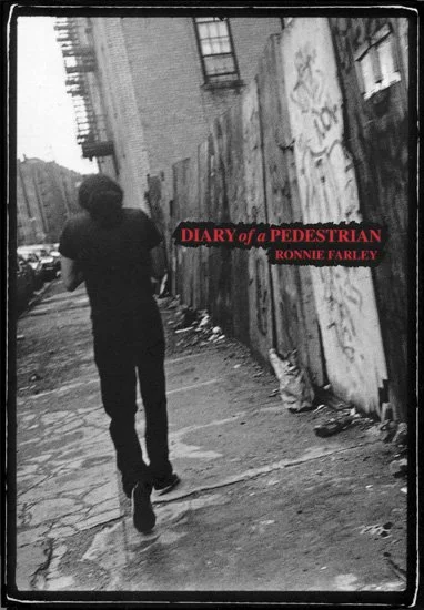 diaryofapedestrian.jpg