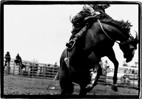 BRONC2lubbockTXr.jpg