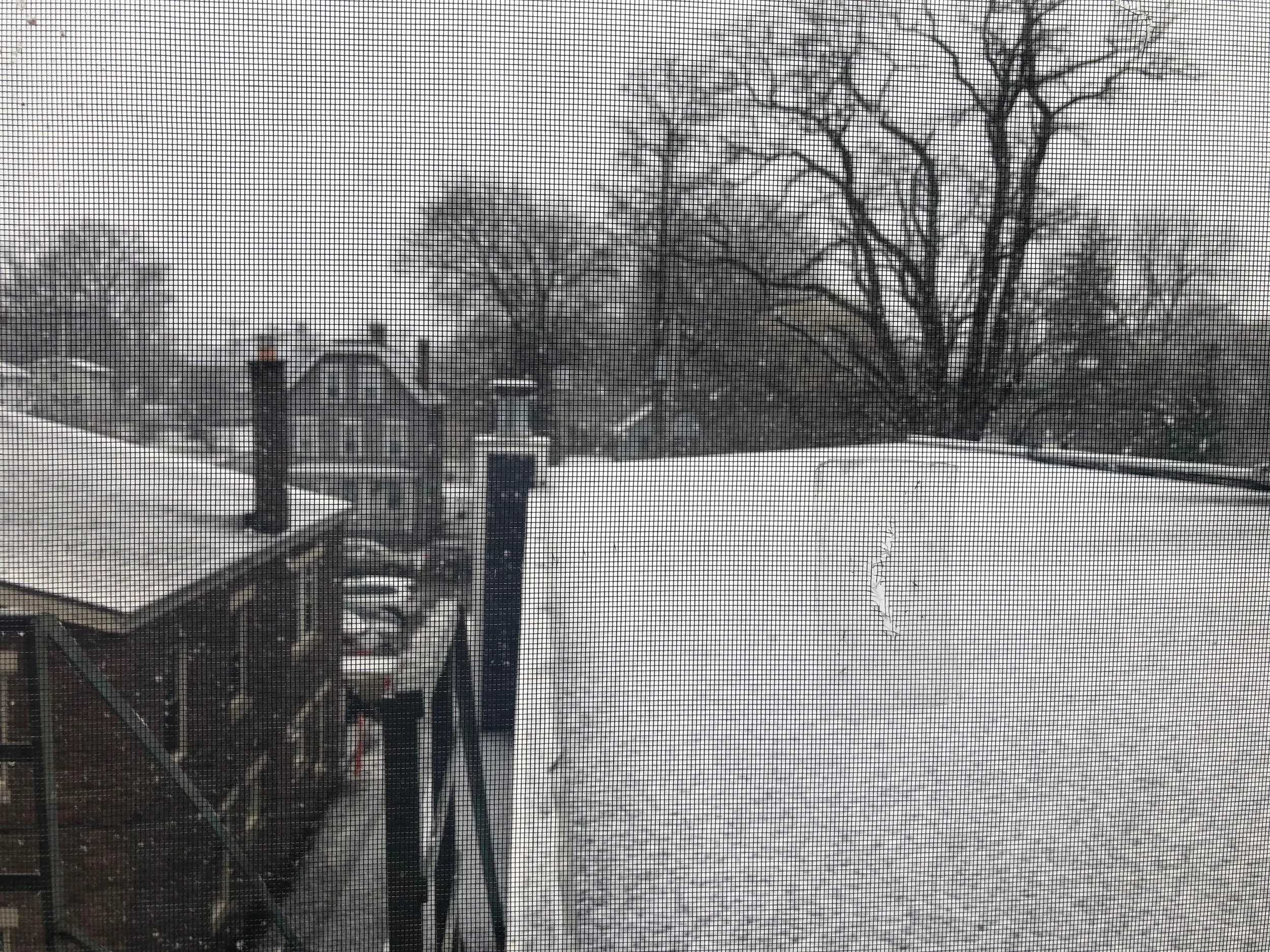 VIEW FROM BACK WINDOW, BEACON, NY, DEC 2025