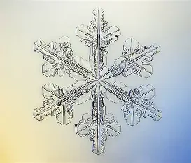 Free Printable - Winter Science Questions