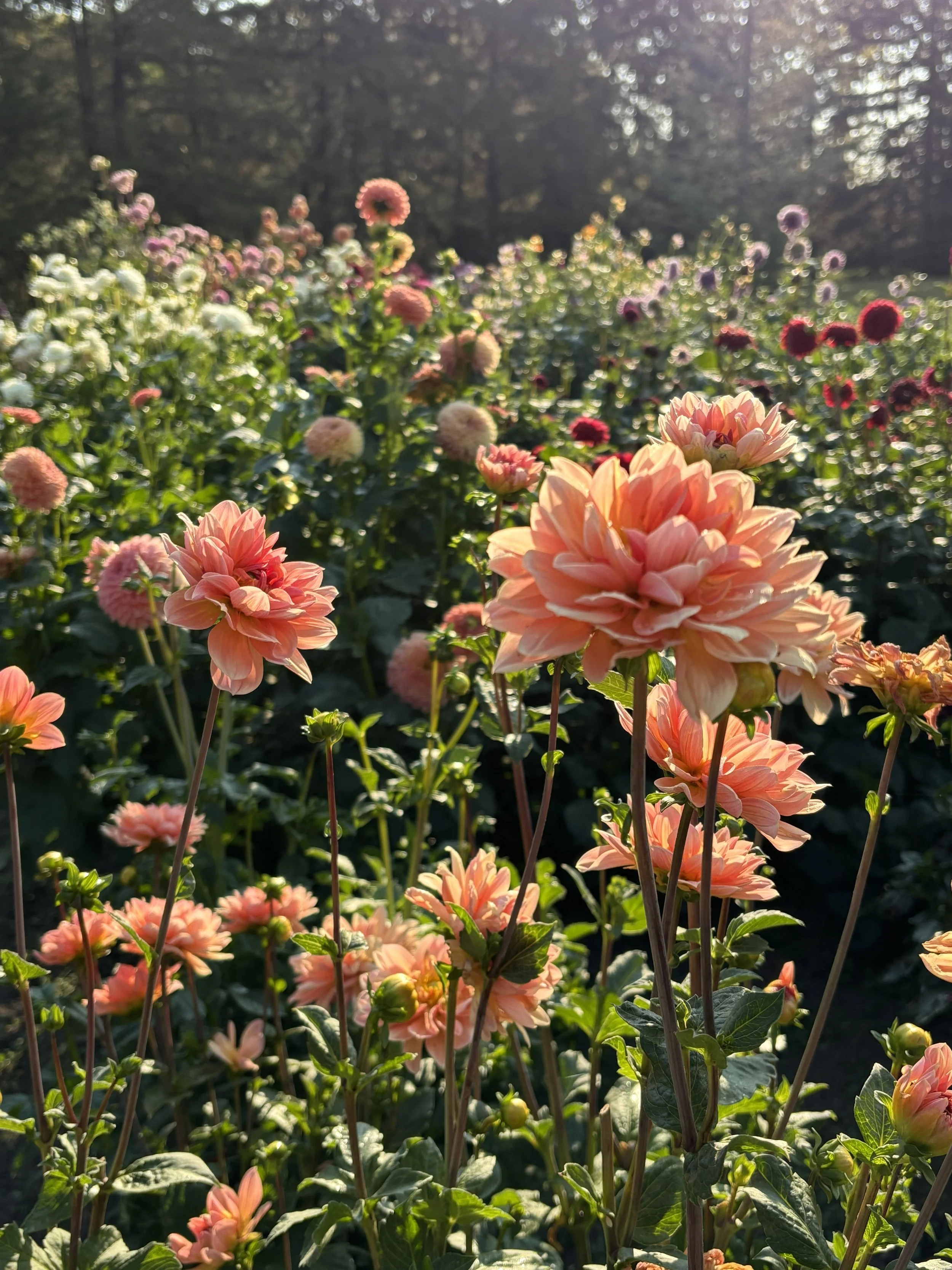 Looking back at the 2025 Season 