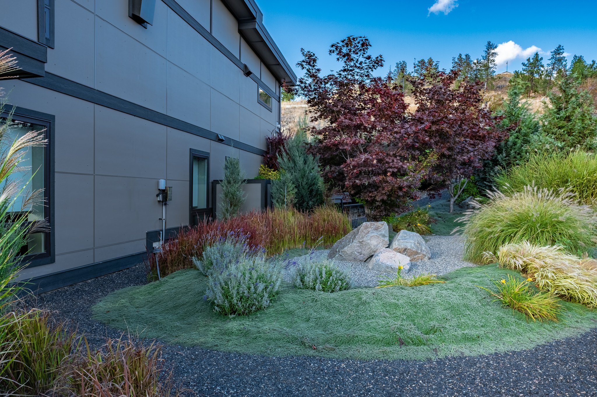 Modern building with a landscaped garden featuring a variety of grasses, shrubs, and small trees, with large rocks and a blue sky with scattered clouds.