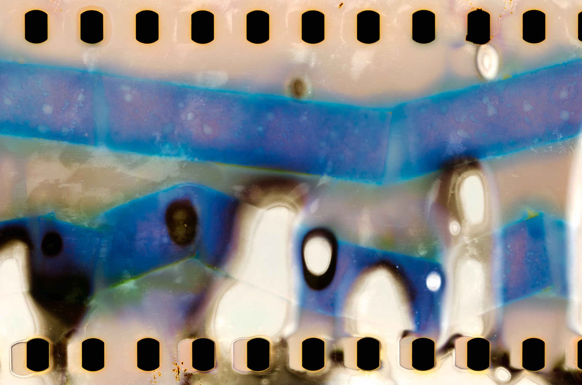 chemfilmmagicbathcrackle-7 copy.jpg