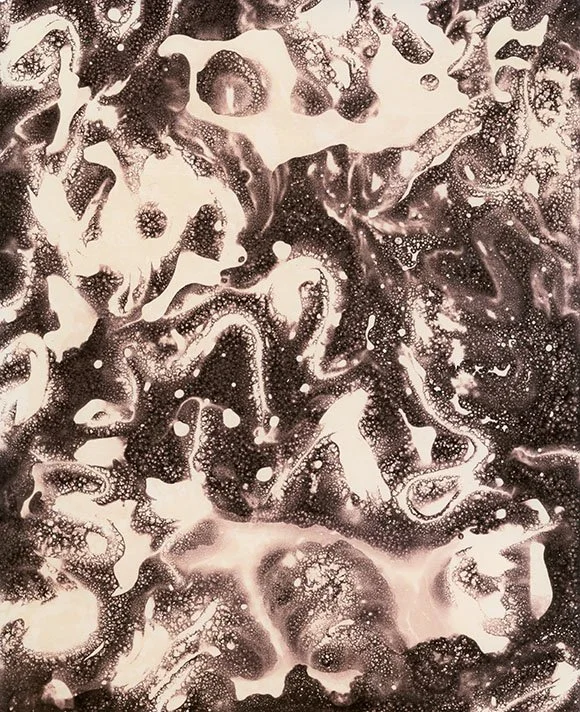 chemigram12004 copy.jpg