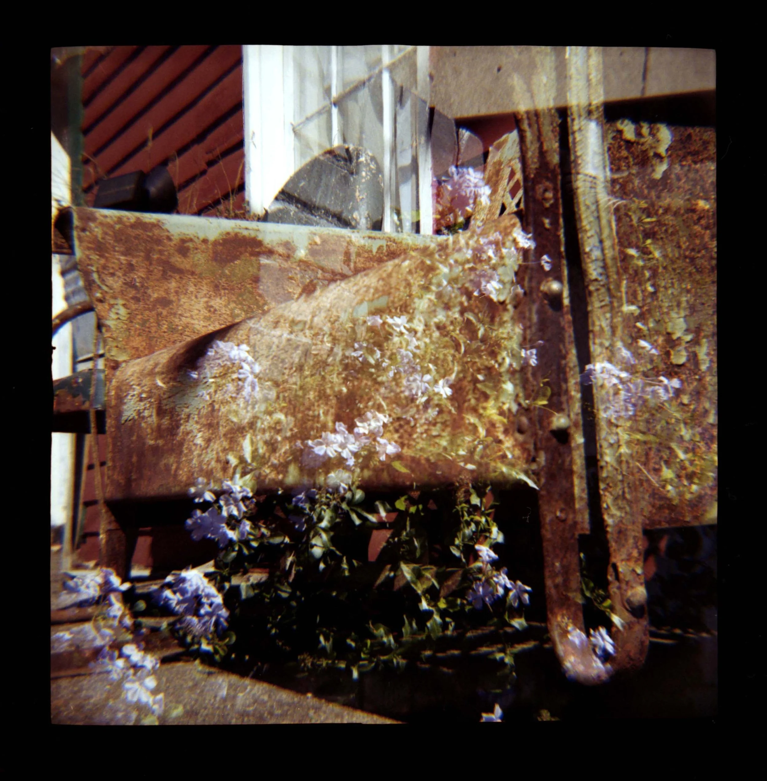 Toepp_H_Bench and Flowers_2024.jpg