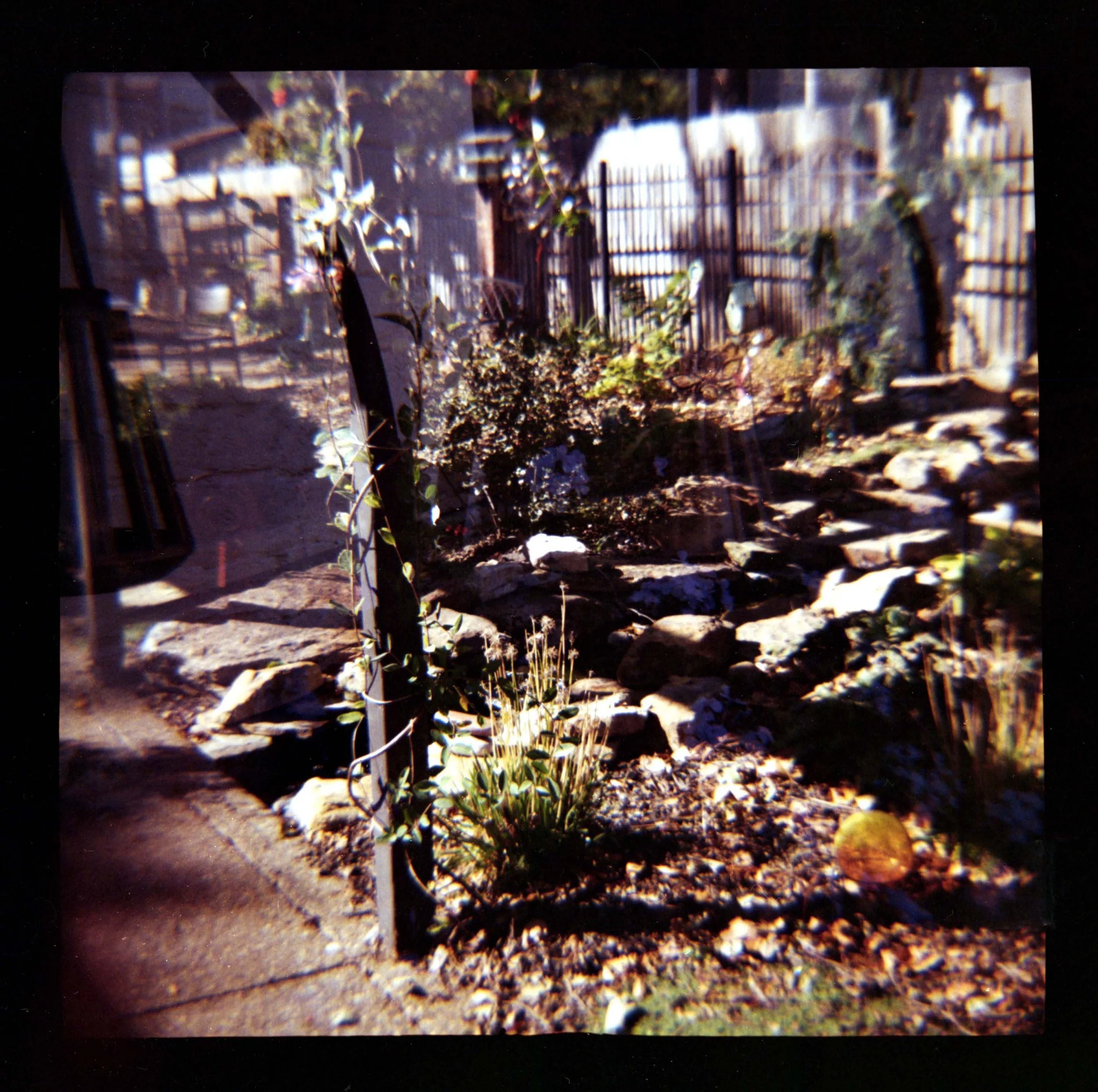 Toepp_H_Garden_2024.jpg