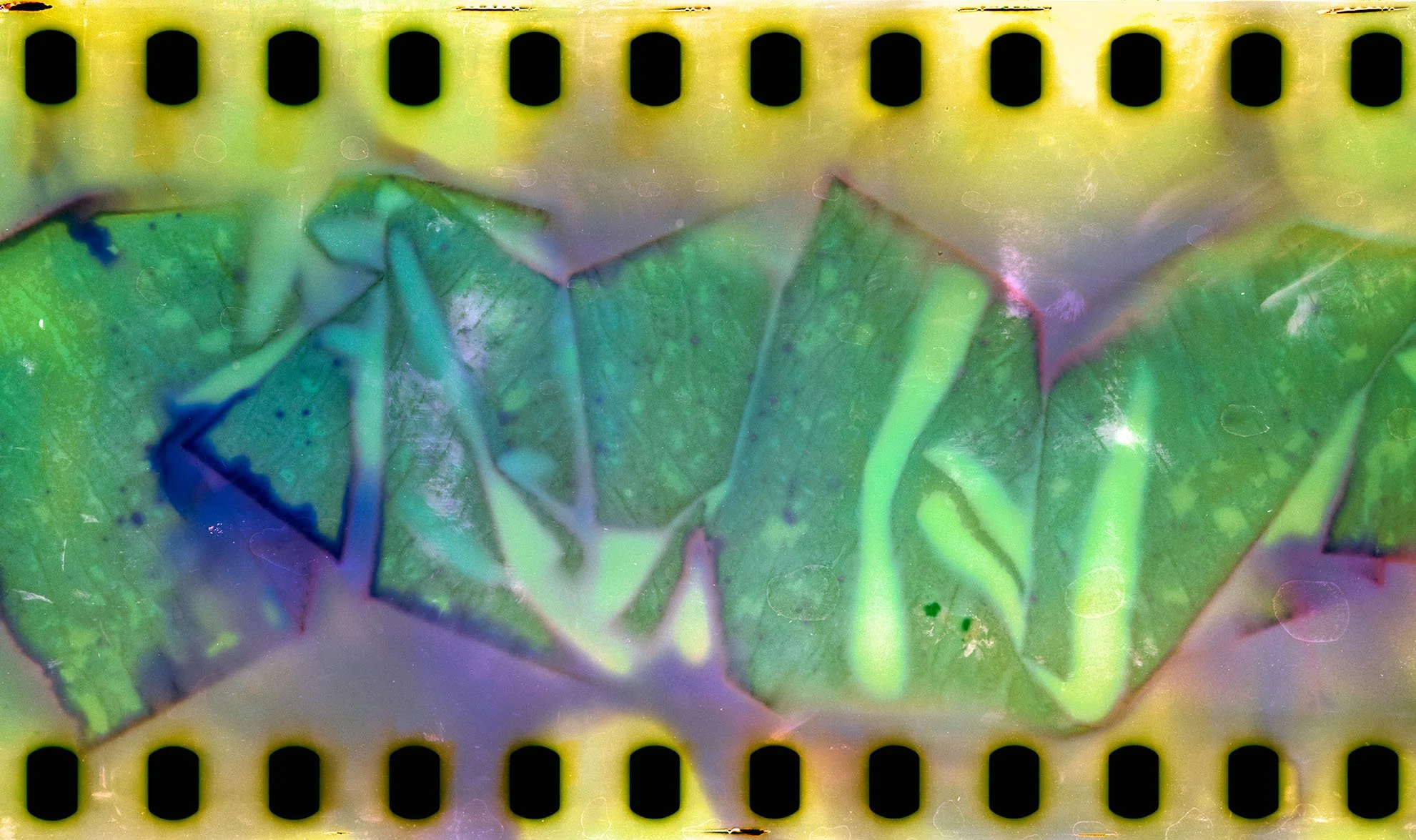 chemfilm#84-6 copy.jpg