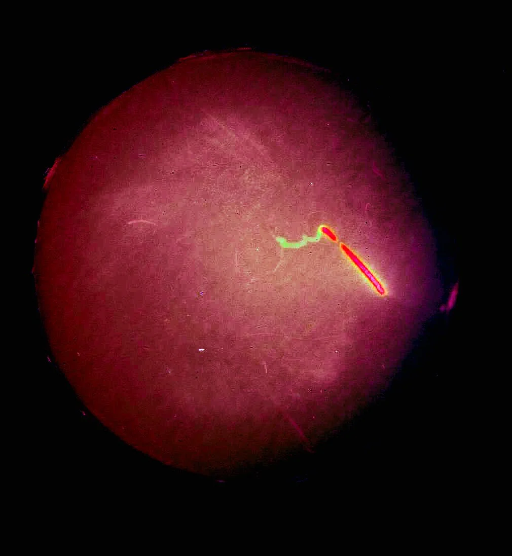 EclipsetoMoveOut03-7.jpg