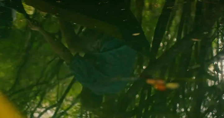 hoje embarcamos para assistir &agrave; estreia do nosso curta-metragem AMASSUNU - o ru&iacute;do das &aacute;guas na telona da Mostra de Cinema de Tiradentes.

construir esse filme foi mergulhar na cultura, na gastronomia e nas &aacute;guas da amaz&o