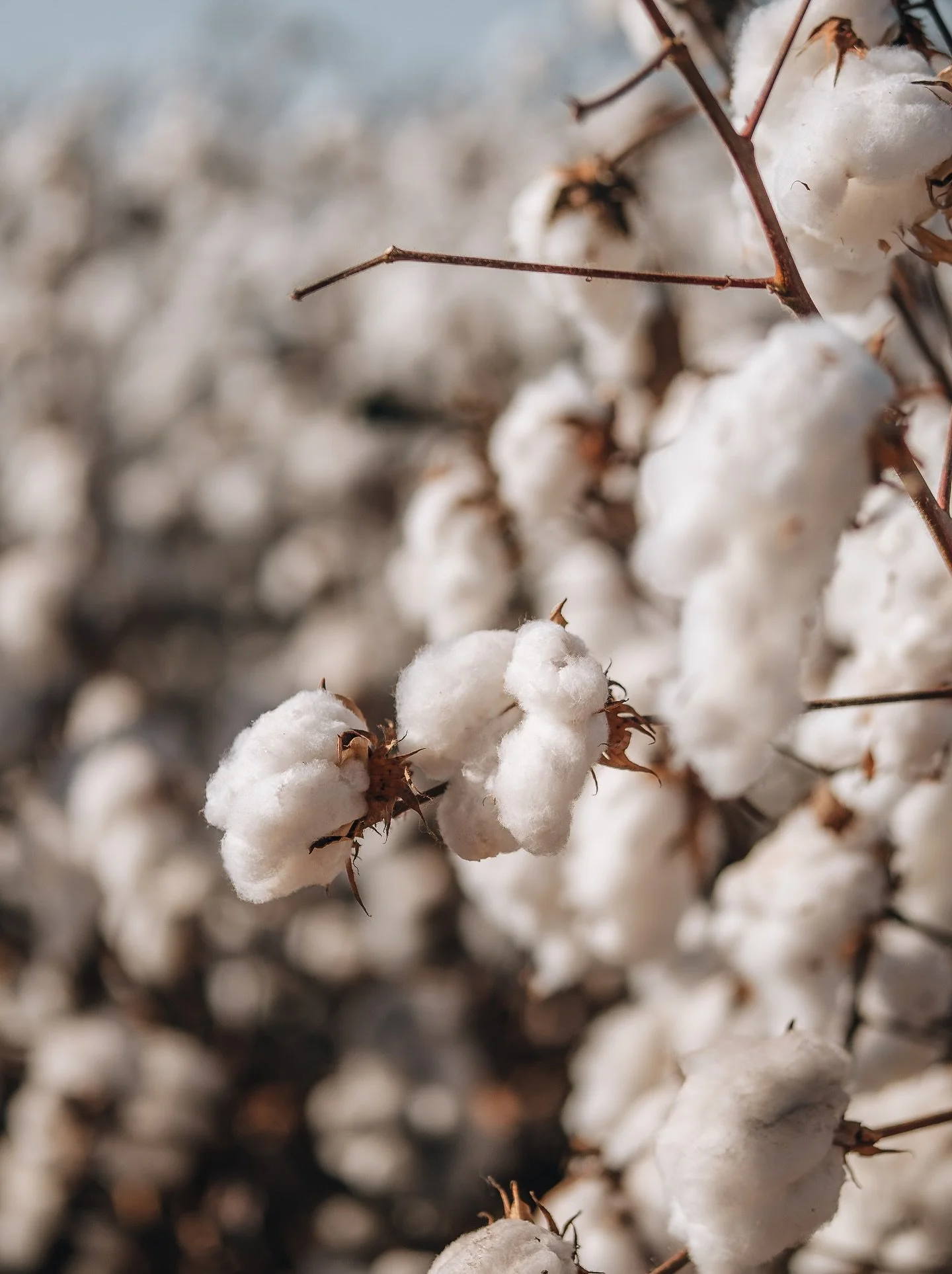 nunca &eacute; &ldquo;s&oacute;&rdquo; fazer um v&iacute;deo.
(passe a foto pro lado)

a gente come&ccedil;a a pensar o v&iacute;deo desde a constru&ccedil;&atilde;o do or&ccedil;amento, quando montamos equipe, escolhemos os equipamentos e j&aacute; 