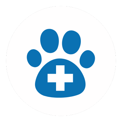 A blue paw print with a cross inside the bottom part, on a black background.