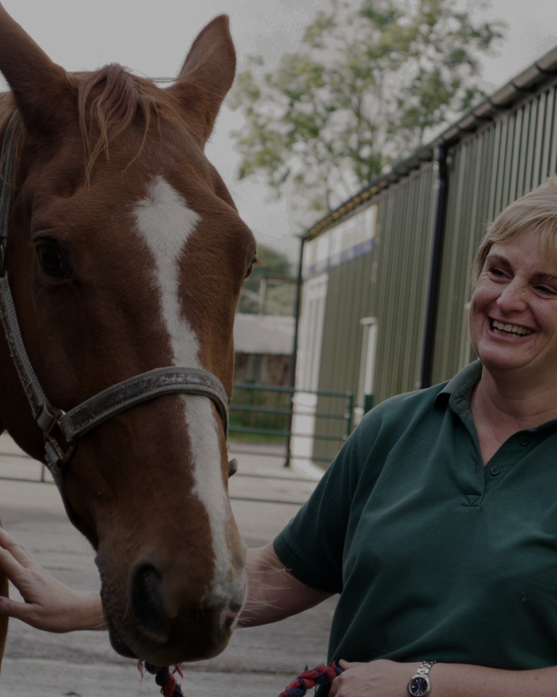 A woman in a green shirt smiling and petting a brown horse with a white blaze on its face, outdoors near a stable or barn.