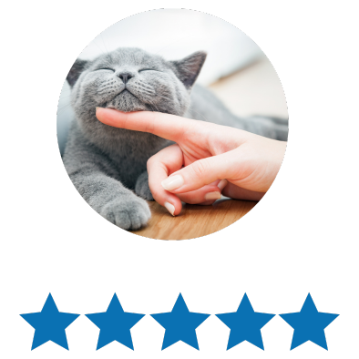 Gray cat being petted under its chin with a person's finger, in a circle, with five blue stars below.