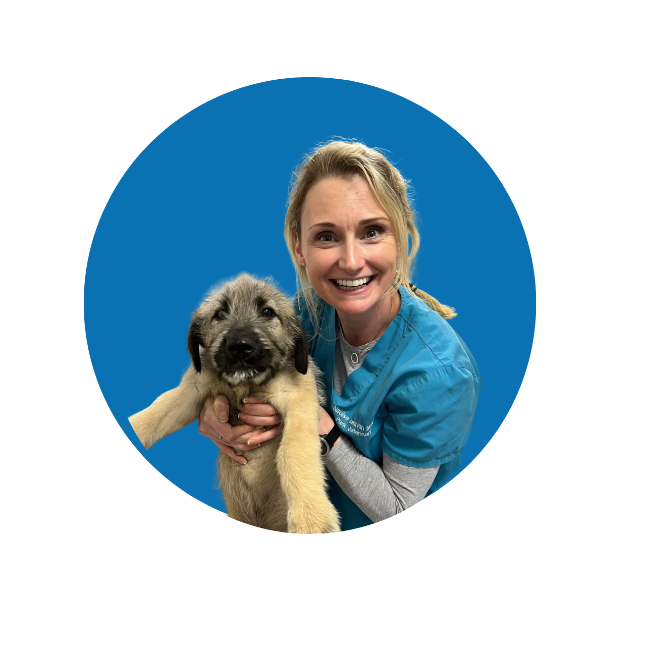 A staff member of Park Veterinary Centre 