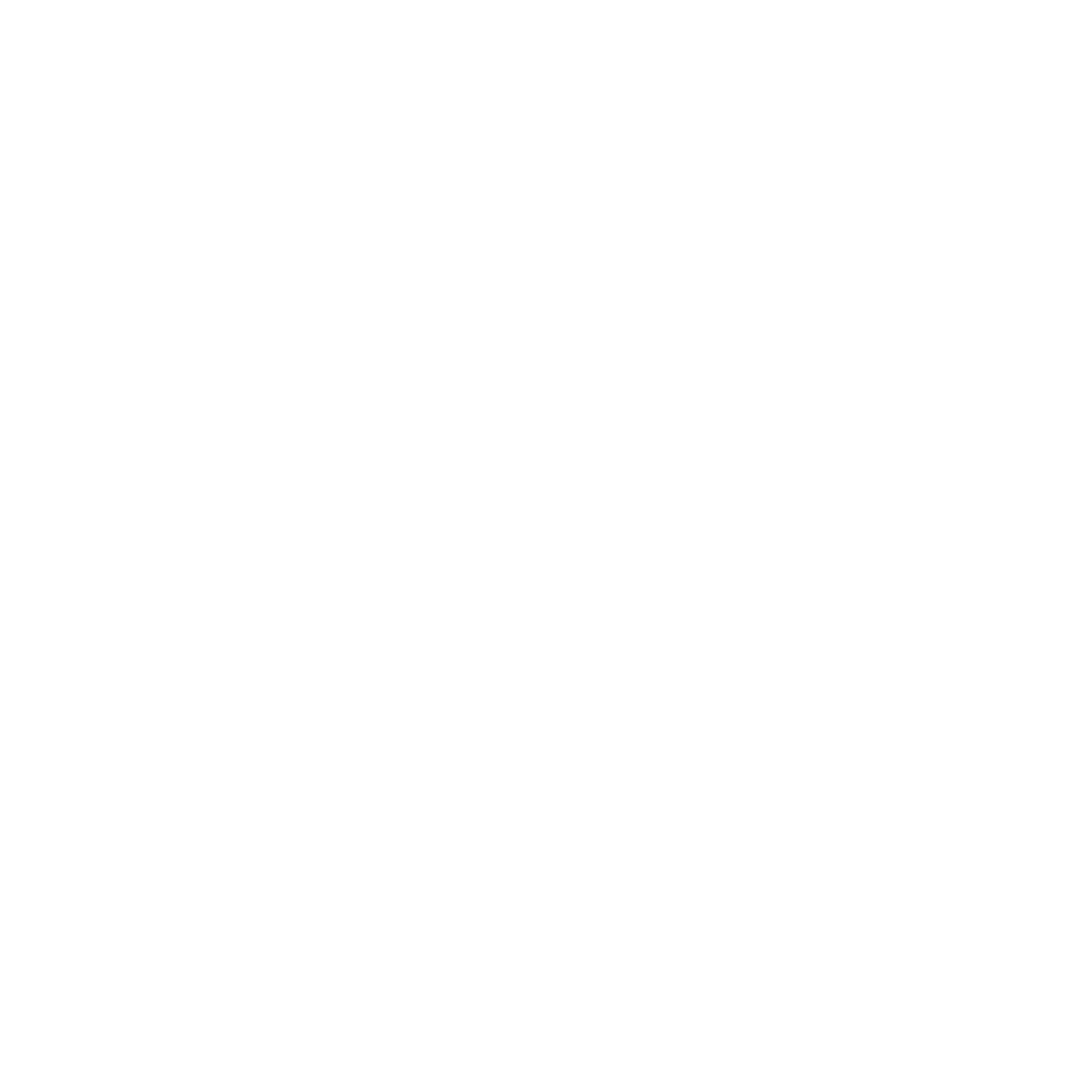 THM Logo Original NBG WHT (2).png