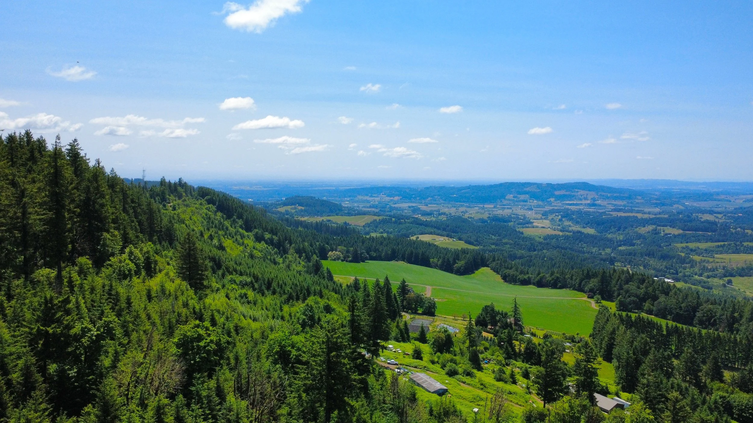 dji_fly_20250601_121024_24_1748805514298_photo_optimized.JPEG