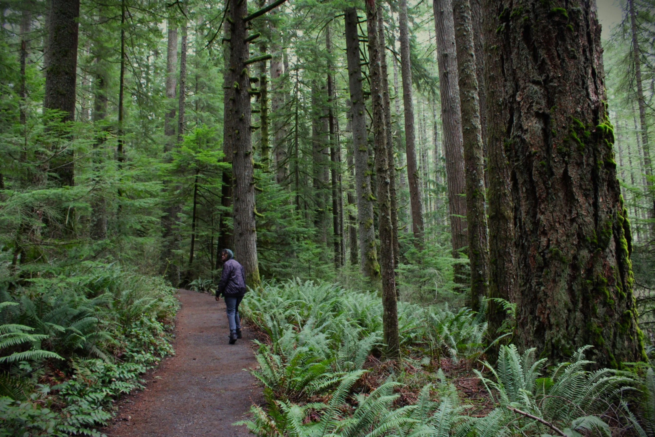 ty in silver lake falls.JPG