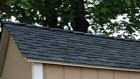 Roof with dark shingles and trees in the background