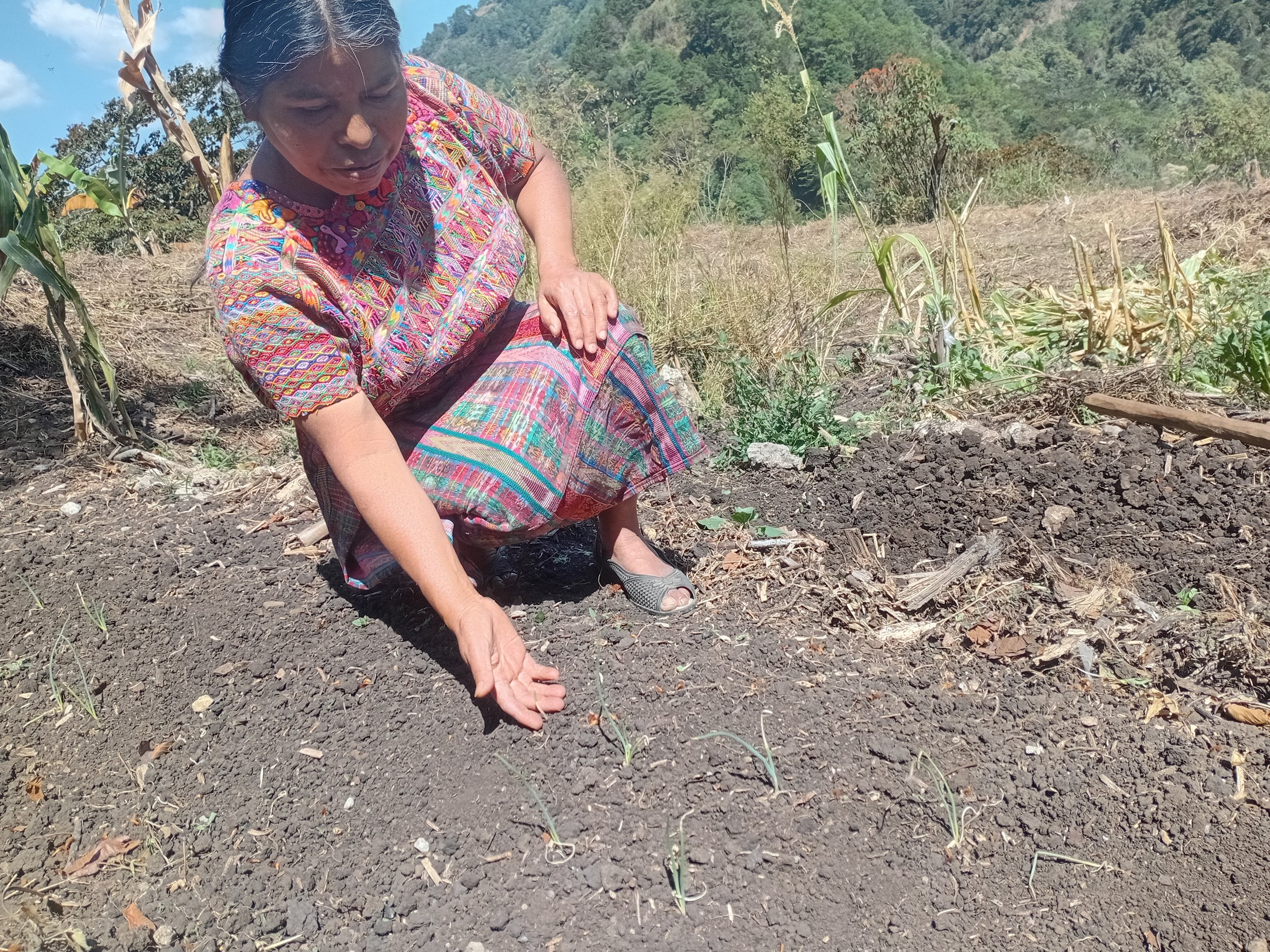 From the Field: El Niño Season