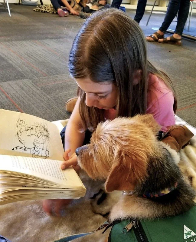 A young girl reading a book to her dog, a golden retriever mix, lying on the floor in a room with other children and adults in the background.