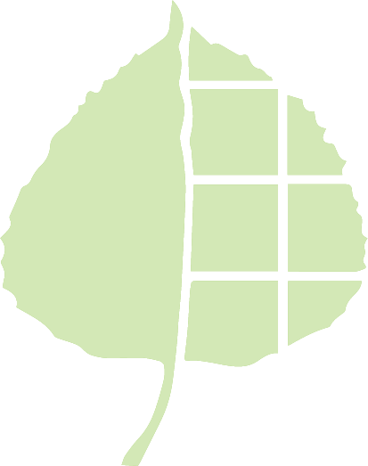 Illustration of a leaf with a grid pattern on its right side