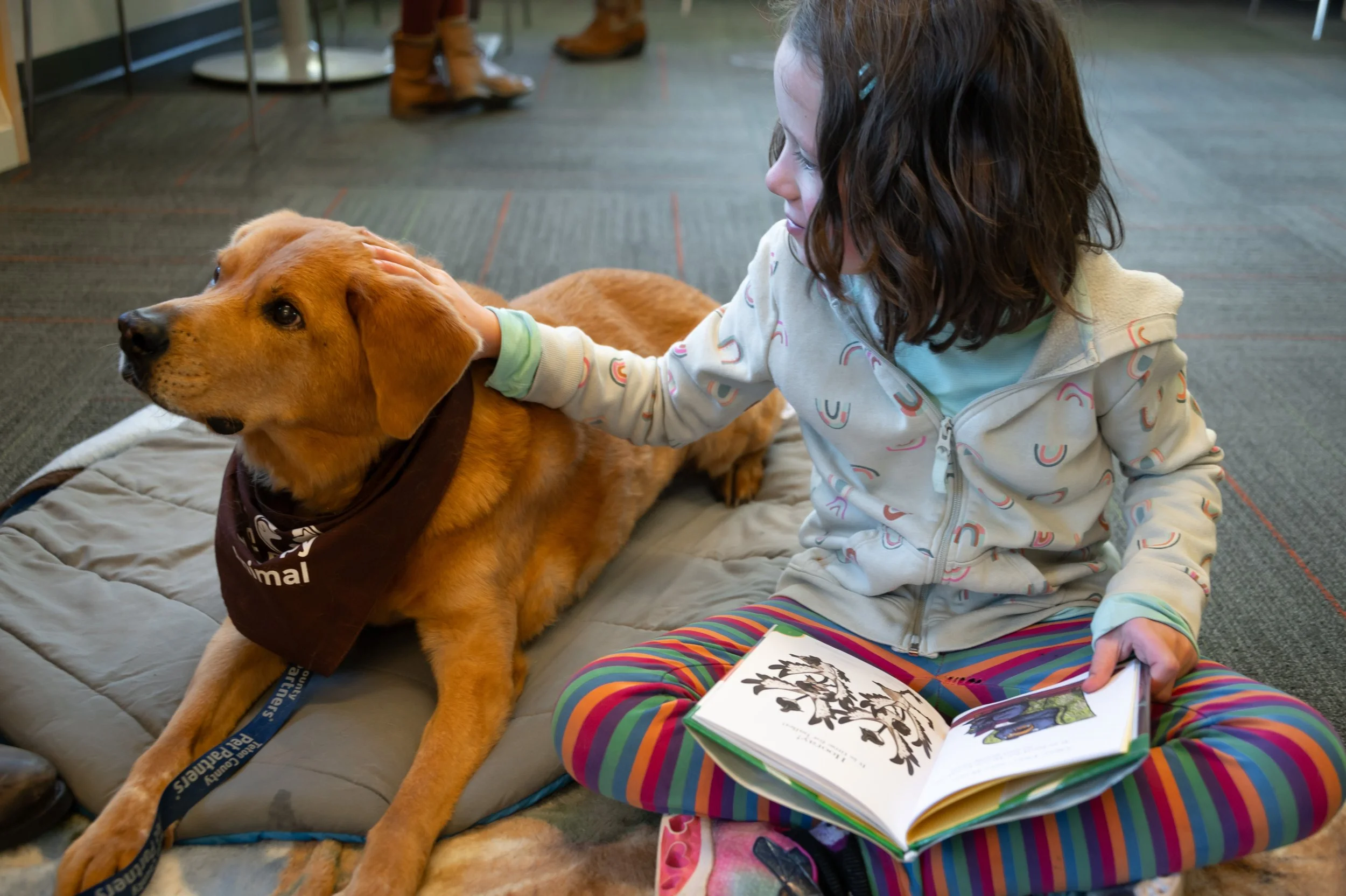 A young girl with curly hair in a light jacket and colorful striped pants sits on the floor, reading a book about animals. She gently pets a large, golden retriever lying on a padded mat, which is wearing a bandana around its neck.