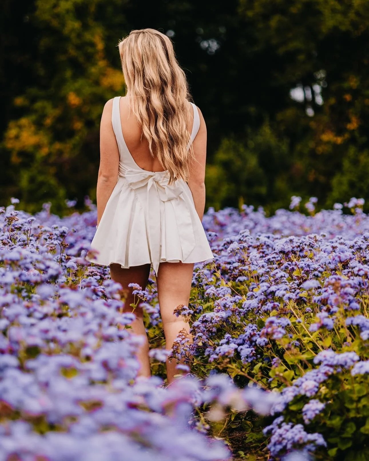 Did you know the dahlia farm is bursting with more than just dahlias?
While these stunning blooms steal the spotlight, there are so many other dreamy flowers scattered throughout the fields &mdash; making your session even more magical.

Whether you&