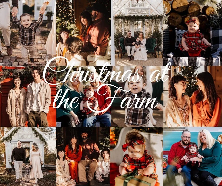 It&rsquo;s almost time for Christmas Minis at Sharp Farm✨ Bring the family, snuggle up, and let&rsquo;s capture those joyful moments you&rsquo;ll treasure forever. Link in bio!