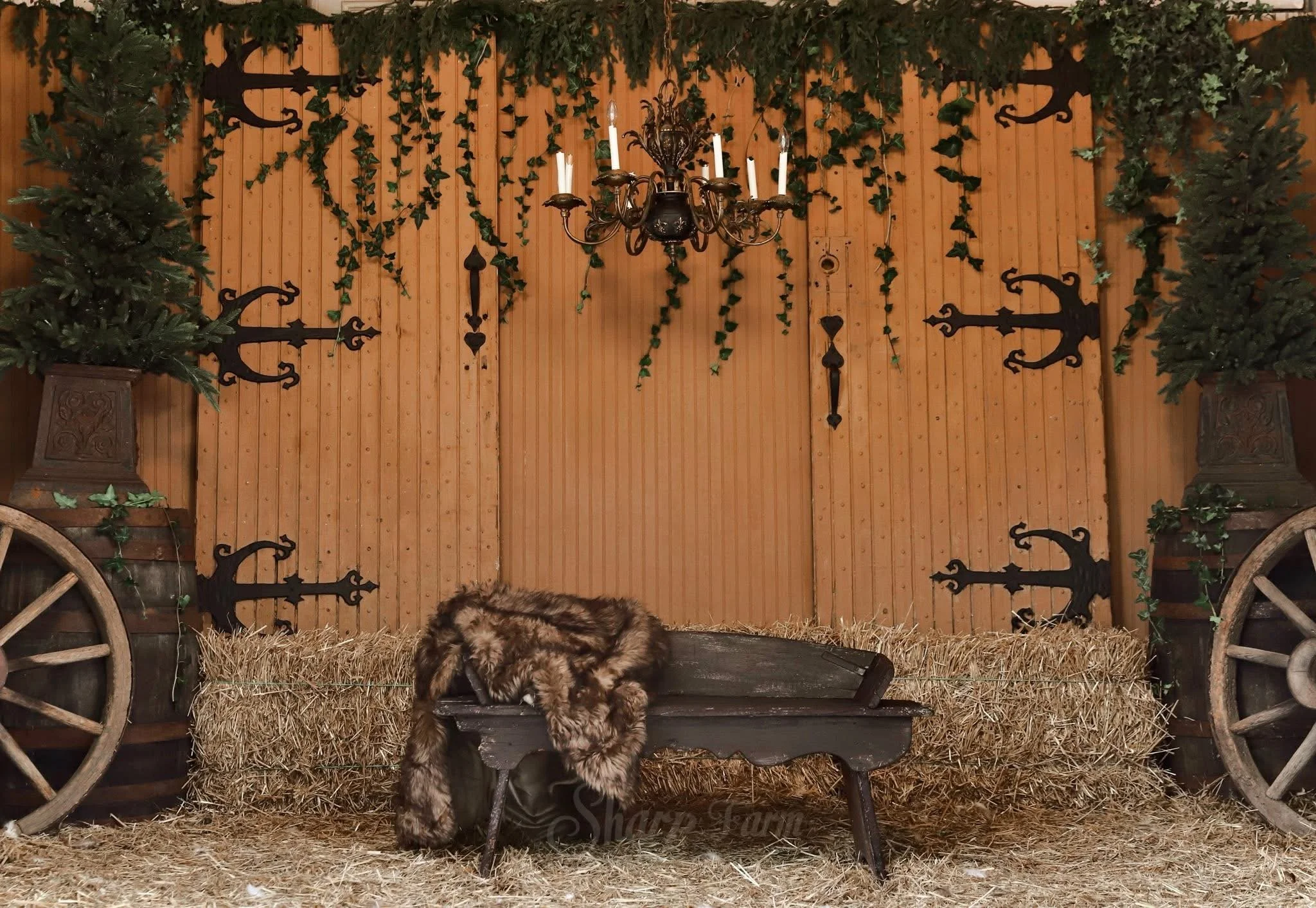 family photographer branding photography newborn MI Michigan Detroit engagement photography