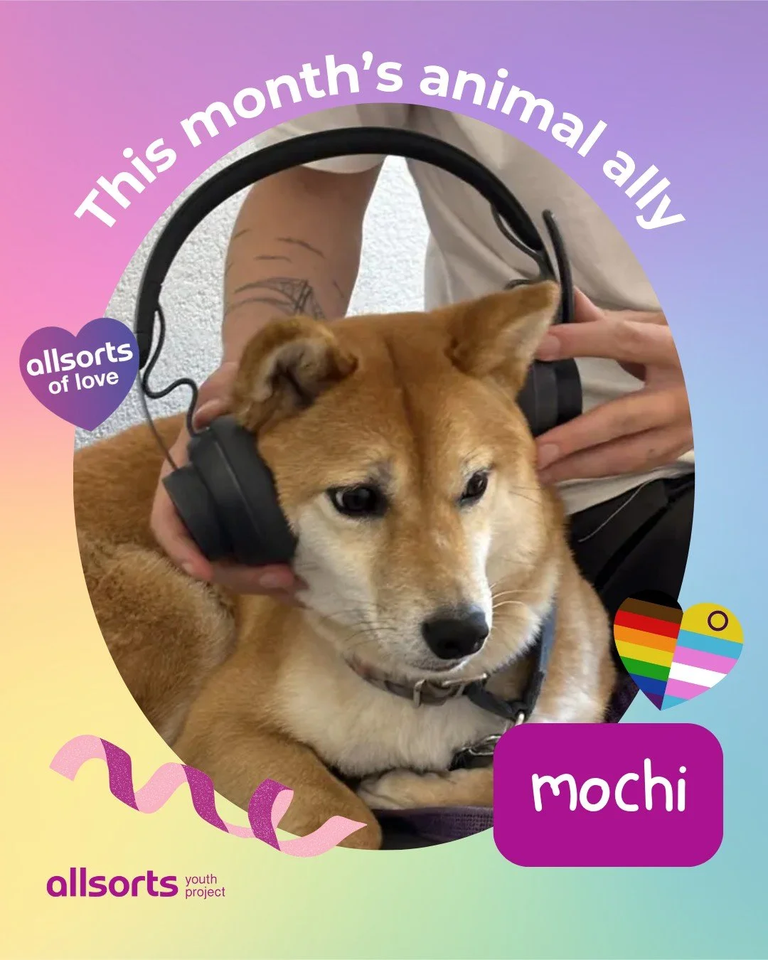 Say hi to this month's sweet animal ally, Mochi 🐾

&quot;The first step to being a better ally is to listen. Listen to the LGBTQ+ people in your life when they share their experiences with you, listen when someone corrects you, and listen even when 