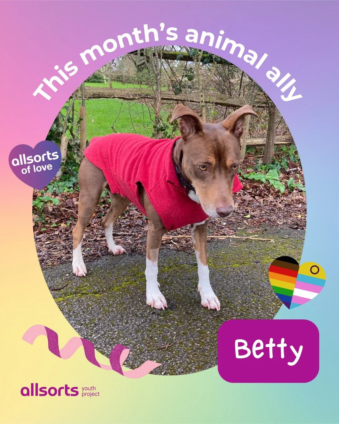 Say hi to this month&rsquo;s wonderful animal ally, Betty 👋⁠
⁠
&ldquo;I love expressing myself through the things I wear, here I am wearing my favourite red jumper with cool cut off sleeves! It&rsquo;s important that everyone gets to express themsel