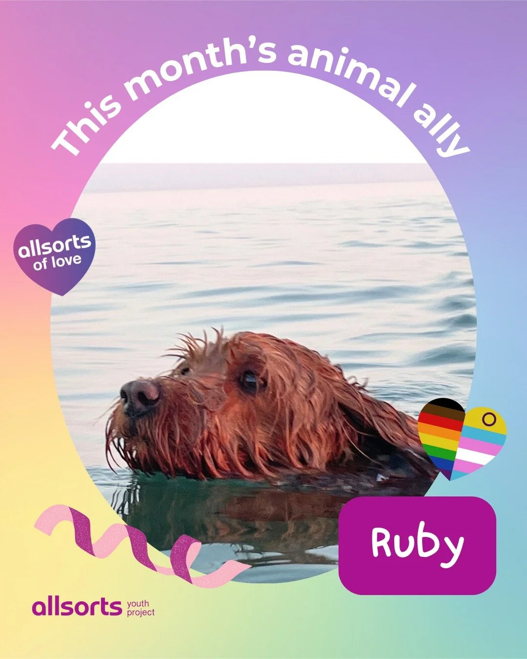 Say hello to this month&rsquo;s awesome animal ally, Ruby 👋⁠
⁠
&ldquo;I love getting outside and getting active! It makes me sad to think of all the trans people who don&rsquo;t feel safe doing sport, everyone deserves to be able to get outside and 