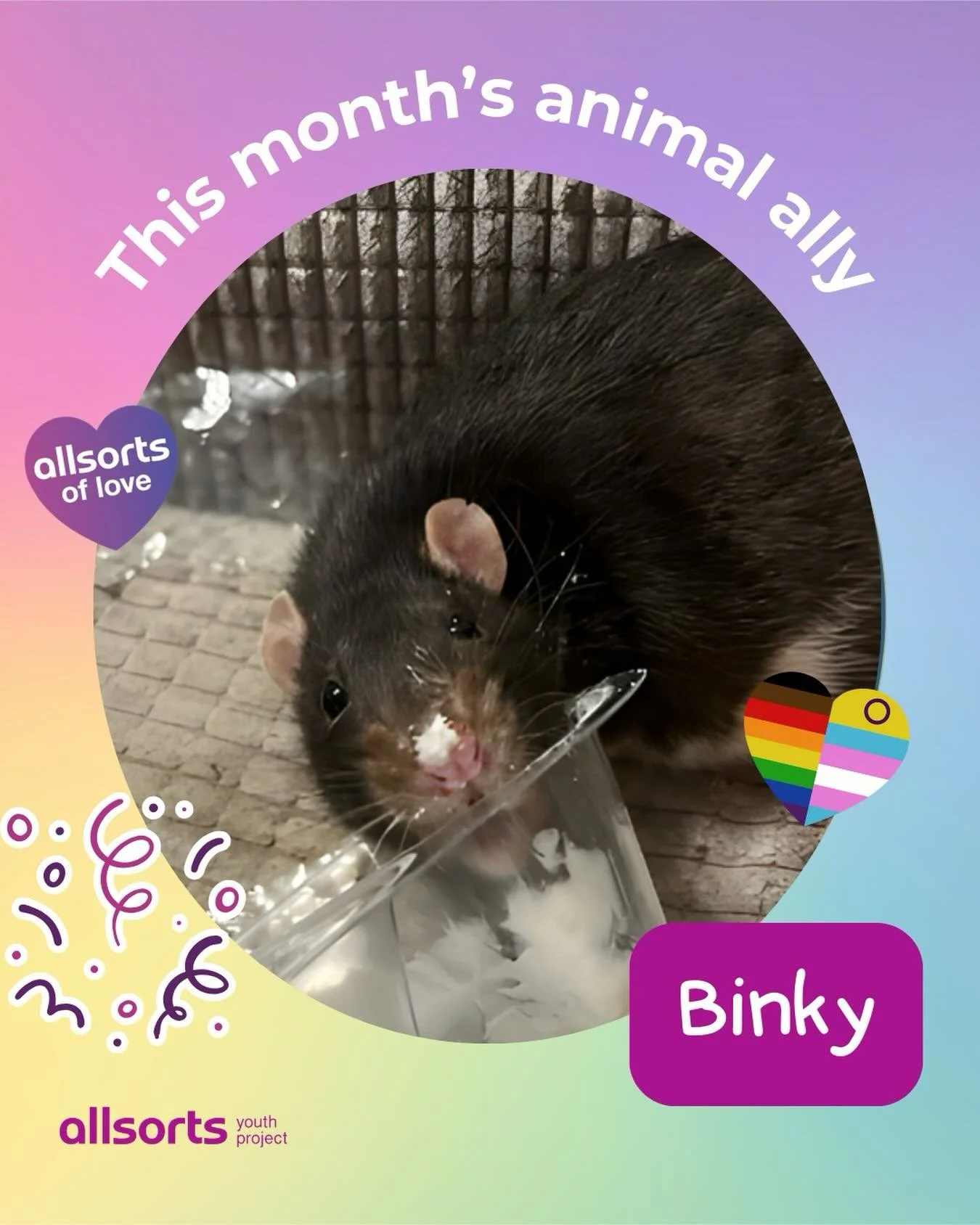 Say hello to this month&rsquo;s awesome animal ally, Binky! 👋⁠
⁠
&ldquo;I&rsquo;m an ally because my LGBTQ+ friends never judge me for getting yoghurt all over my nose and whiskers! They love me exactly the way I am and I love them just the same.&rd