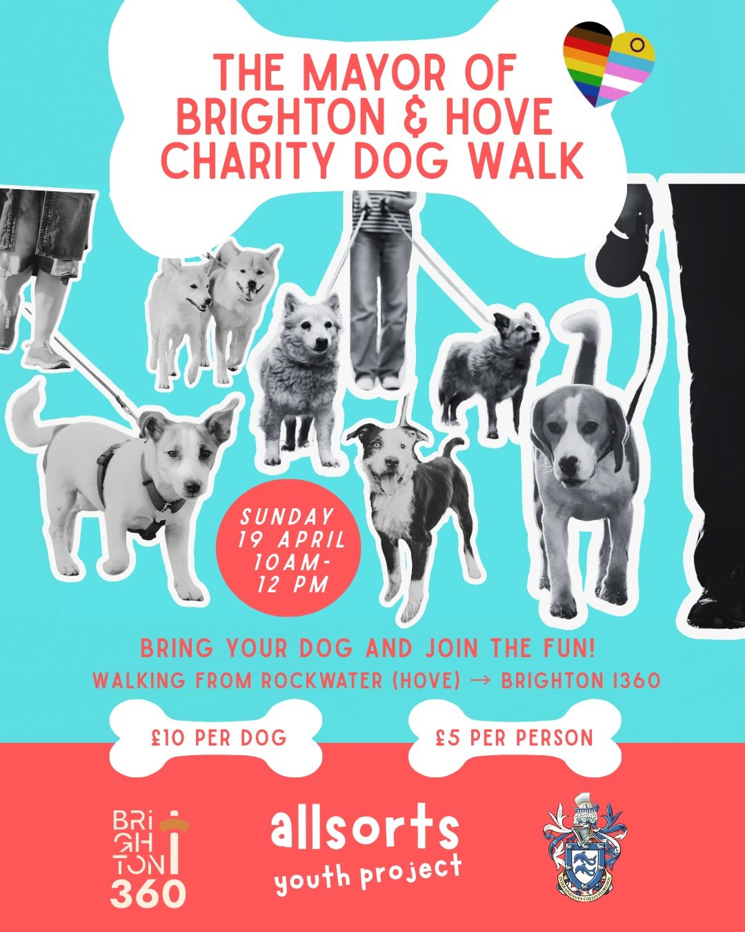 Join us for the Mayor of Brighton &amp; Hove Charity Dog Walk 🐾🏳️&zwj;🌈🏳️&zwj;⚧️🐶

Bring your dog and enjoy a fun walk along the seafront, led by the Mayor, Cllr Amanda Grimshaw, and Mayoral dog Mabel. It&rsquo;s a chance to get outside, meet ot