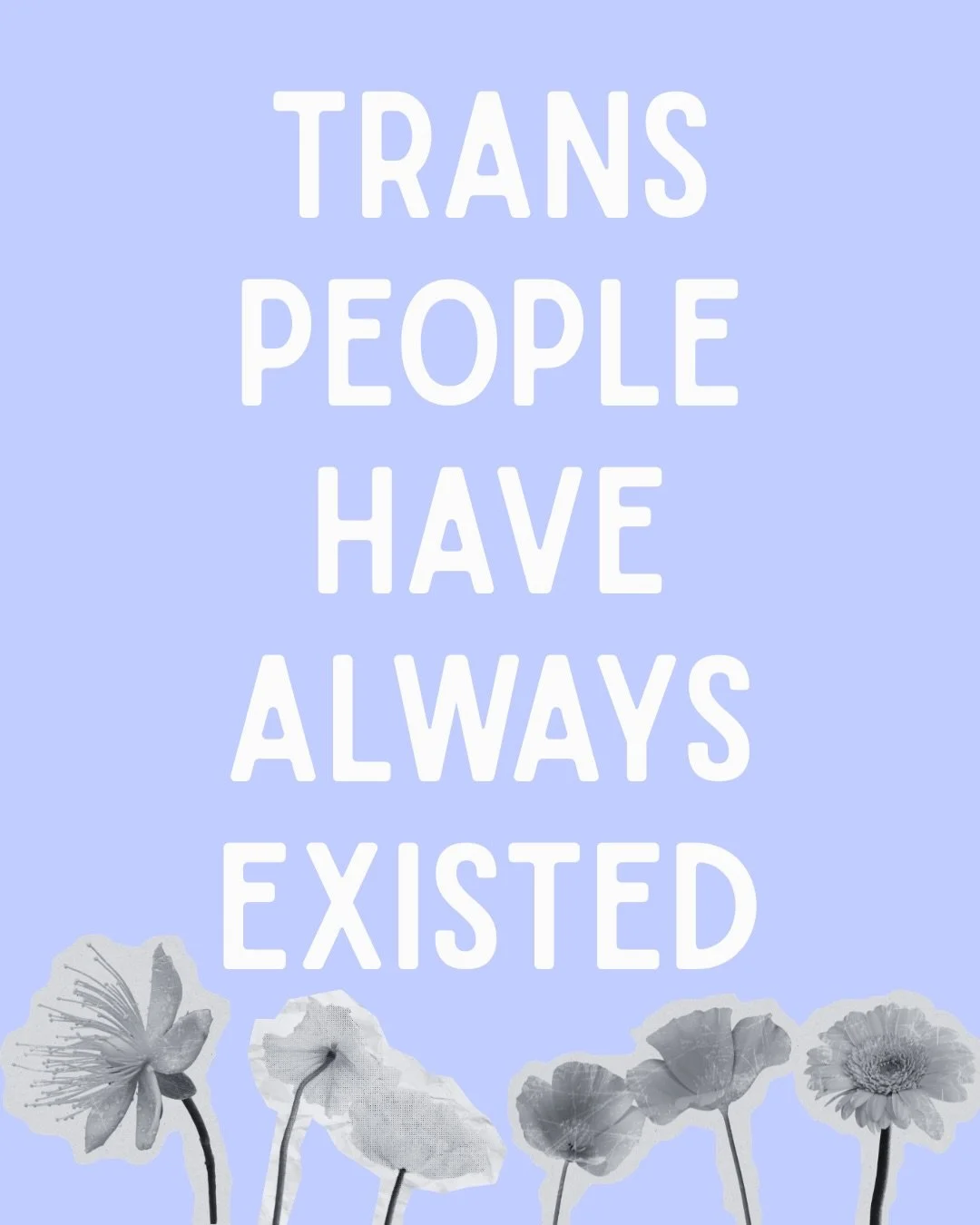 Trans history is human history 🏳️&zwj;⚧️✨#transhistoryweek

From ancient traditions to the front lines of the modern movement, trans people have always been here, leading, creating, and defending our community.

Knowing our history is our power. Swi