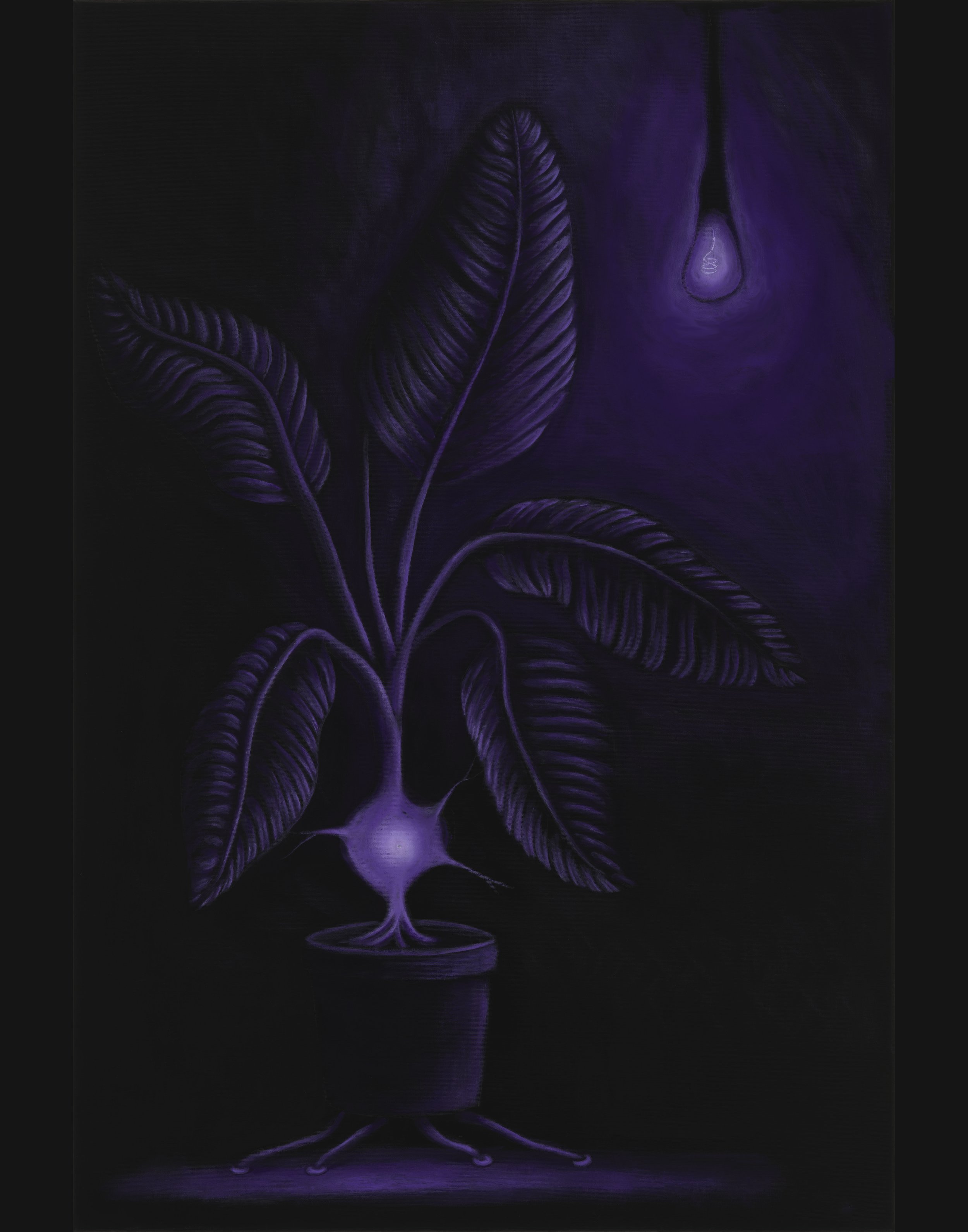 blair-k-thoughts-of-purple-tier1 - 28-05-2025 14-39-04.jpeg
