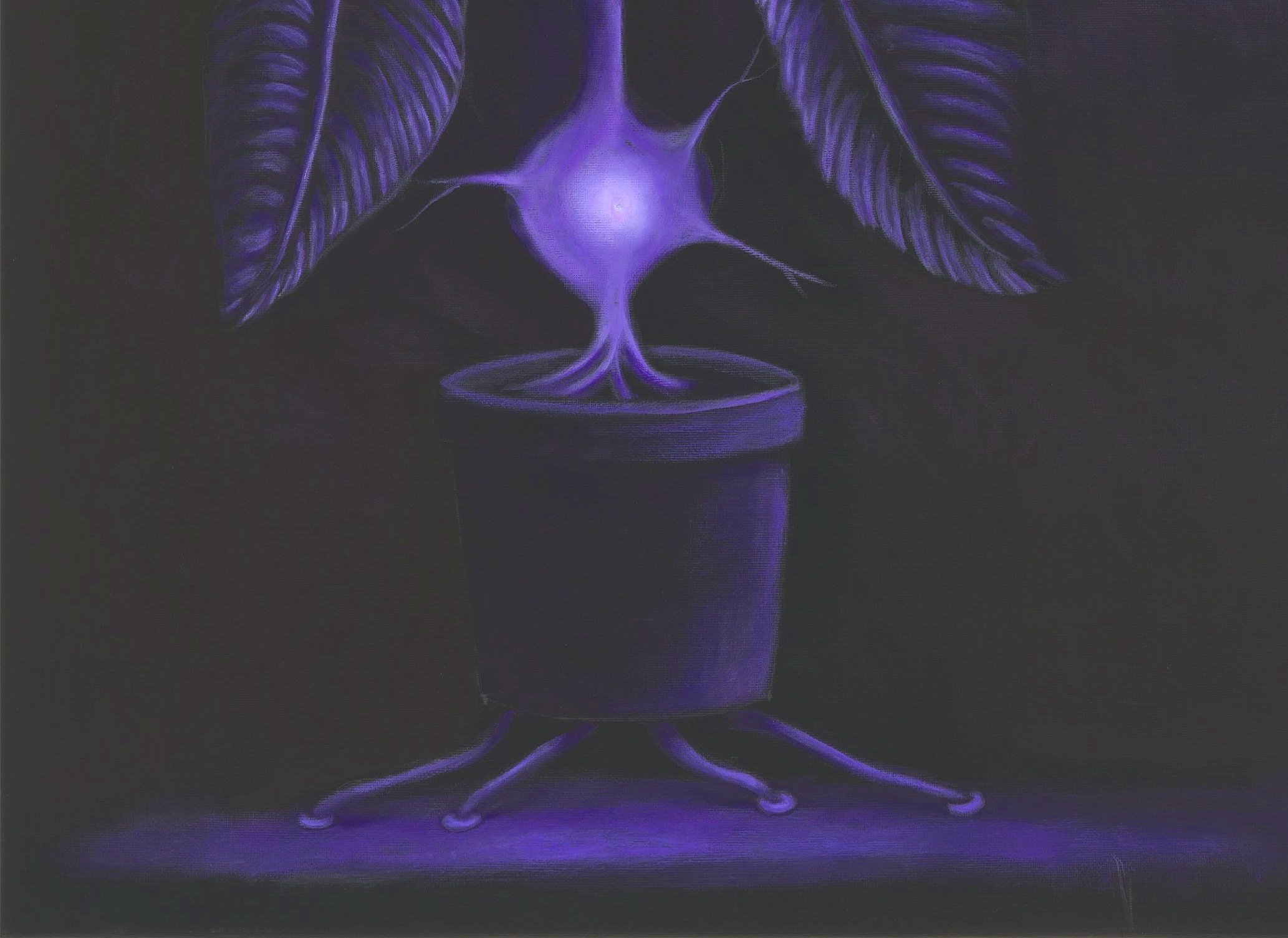 blair-k-thoughts-of-purple-tier1-high.jpg
