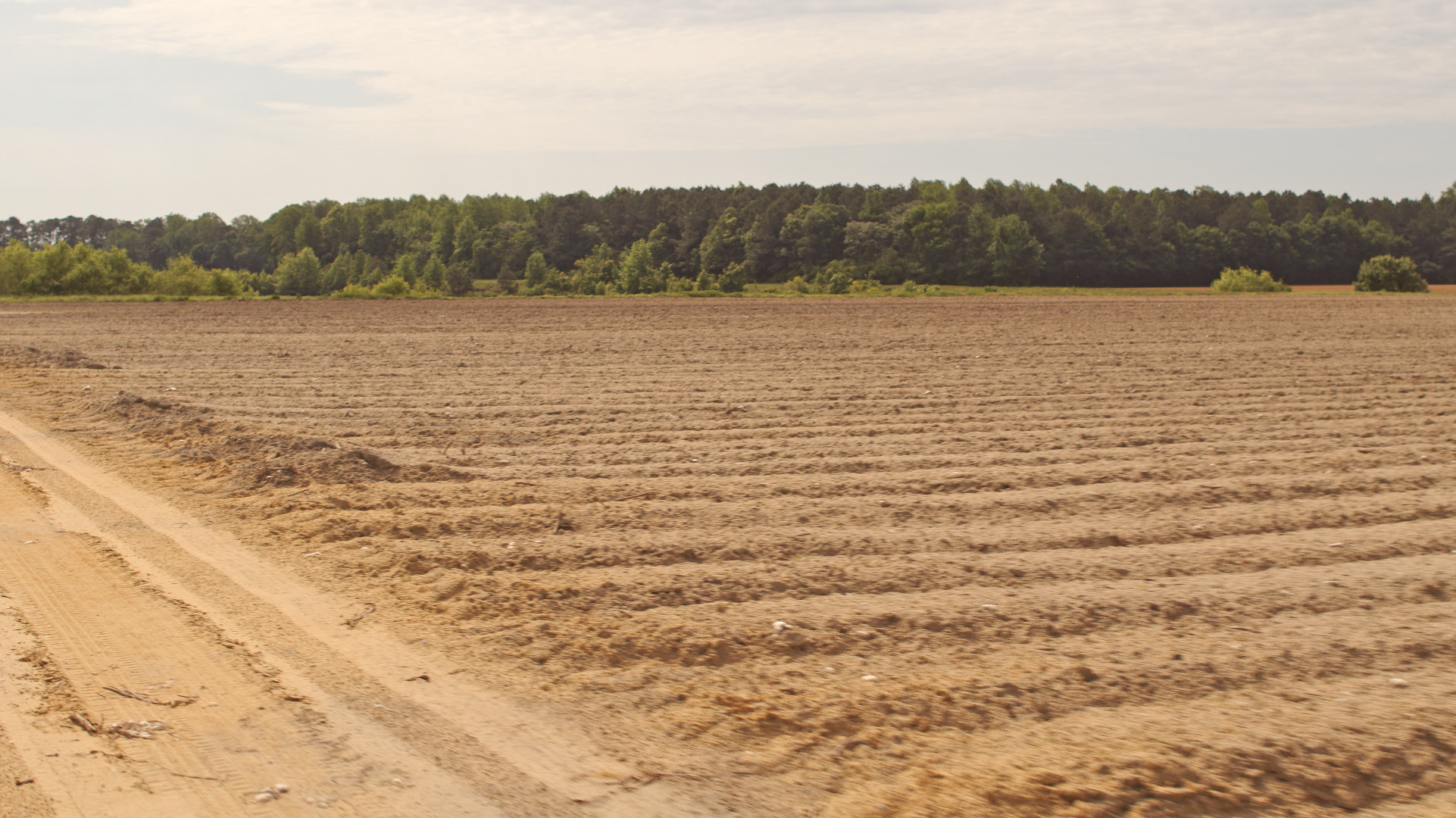 Field.png