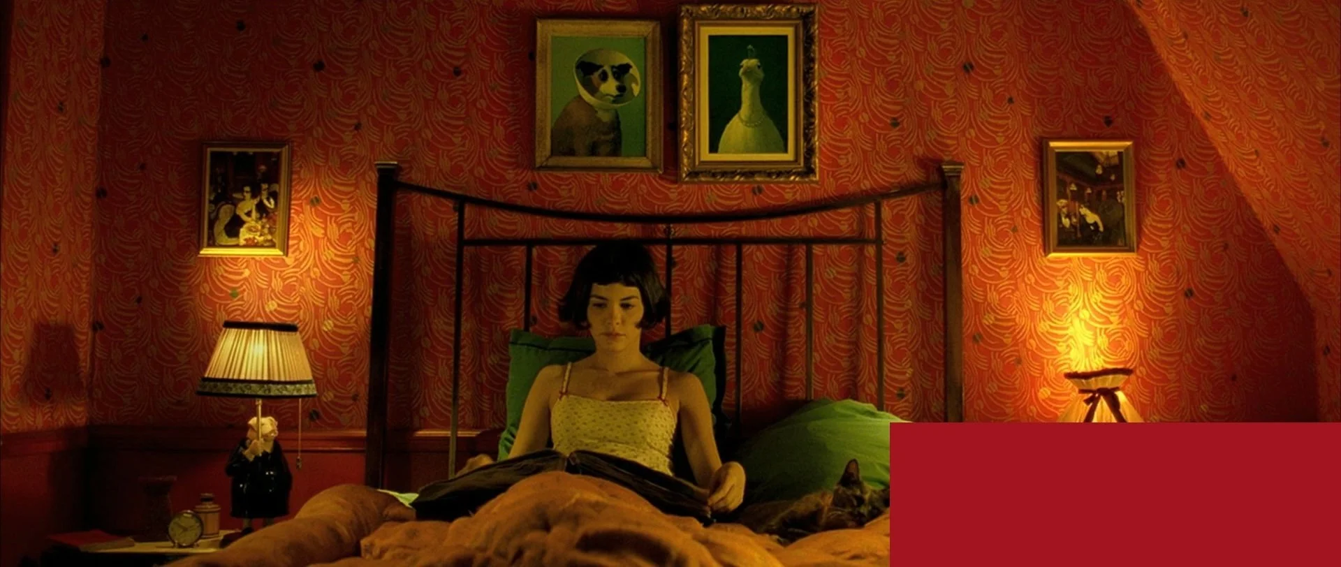 Amelie-0649.jpg