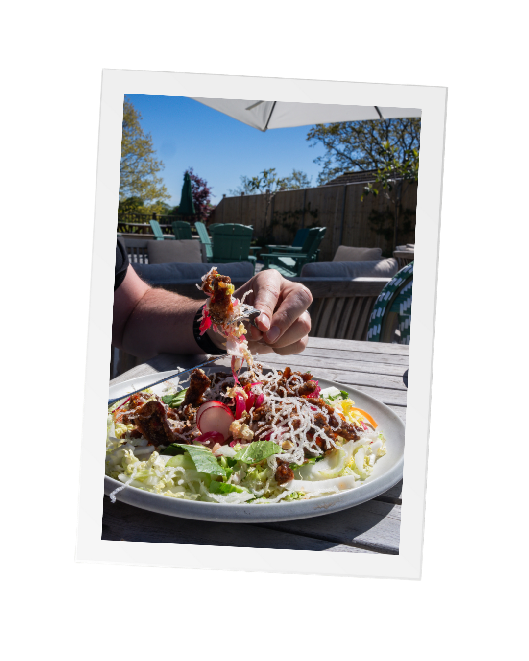Fresh, summery lunch options and delicious sandwiches in Hassocks area for you to enjoy lunch time and the summer sunshine.