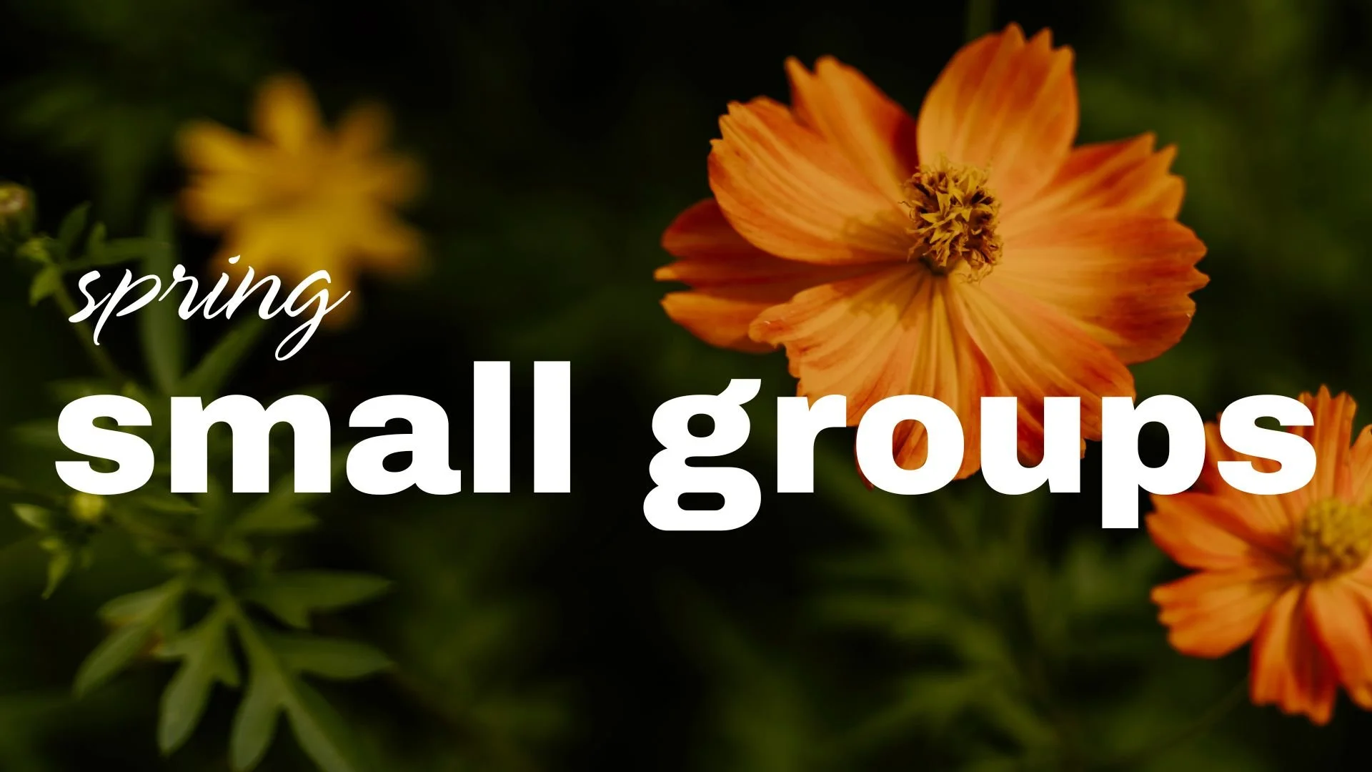Spring Small Group Sign Ups