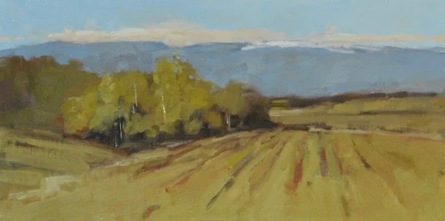 Stef Schroeder "Freshly Planted" oil on linen panel, 8"x16"