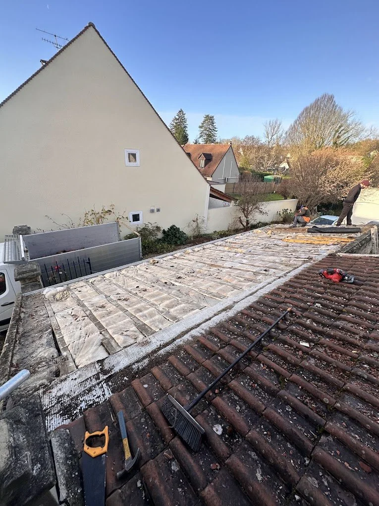 zinguerie mantes la jolie couvreur toiture rénovation entretien démoussage yvelines 78 tuiles