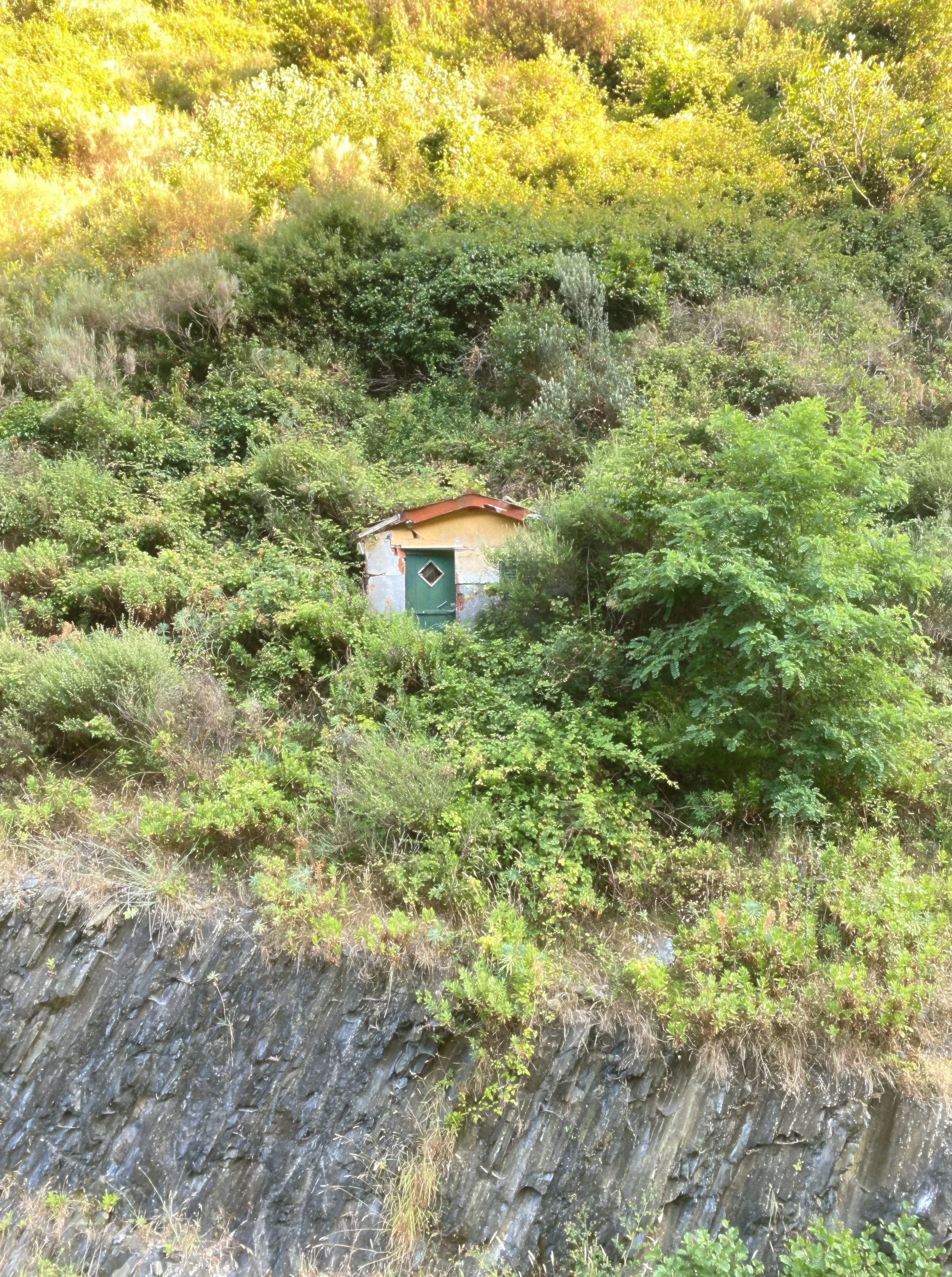 stecca-film-effect_house.jpg