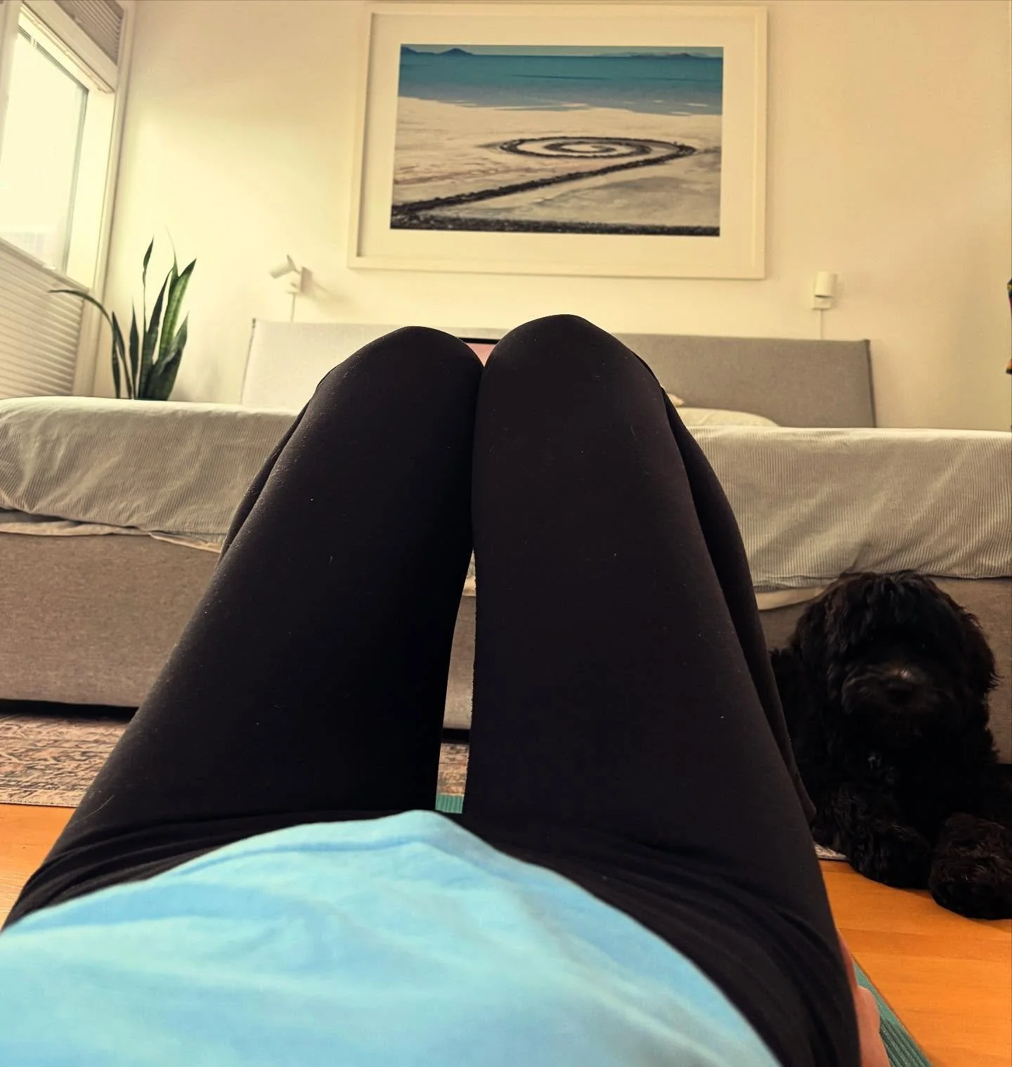 💫 reflections from the mat this morning 💫 25 years a student of yoga&hellip; my practice has ebbed and flowed, been consistent at times, and changed many more. From pregnant belly, to babies, toddlers, kids, teens, adult children and puppies&hellip