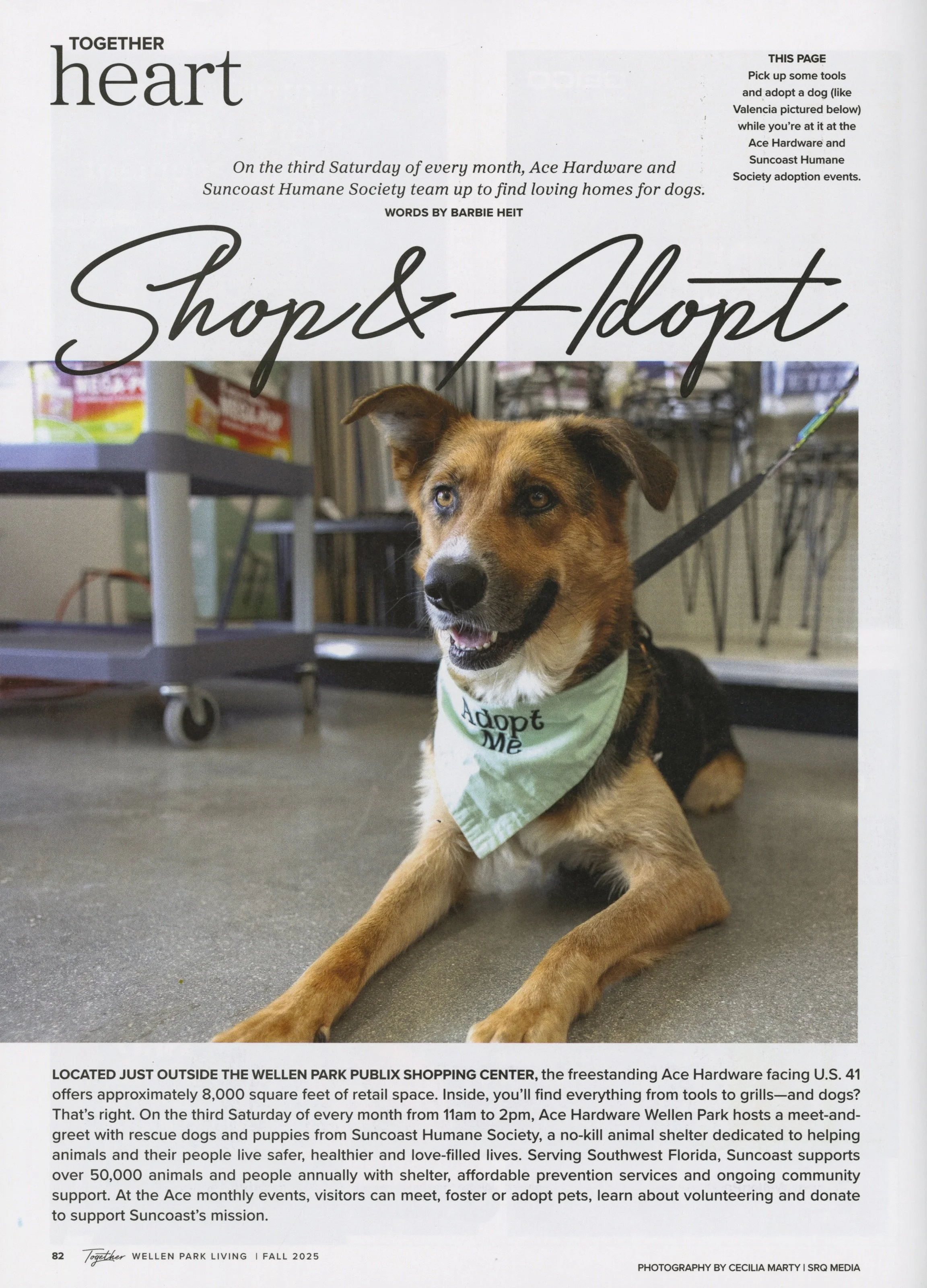 WELLEN PARK FALL 4.jpeg