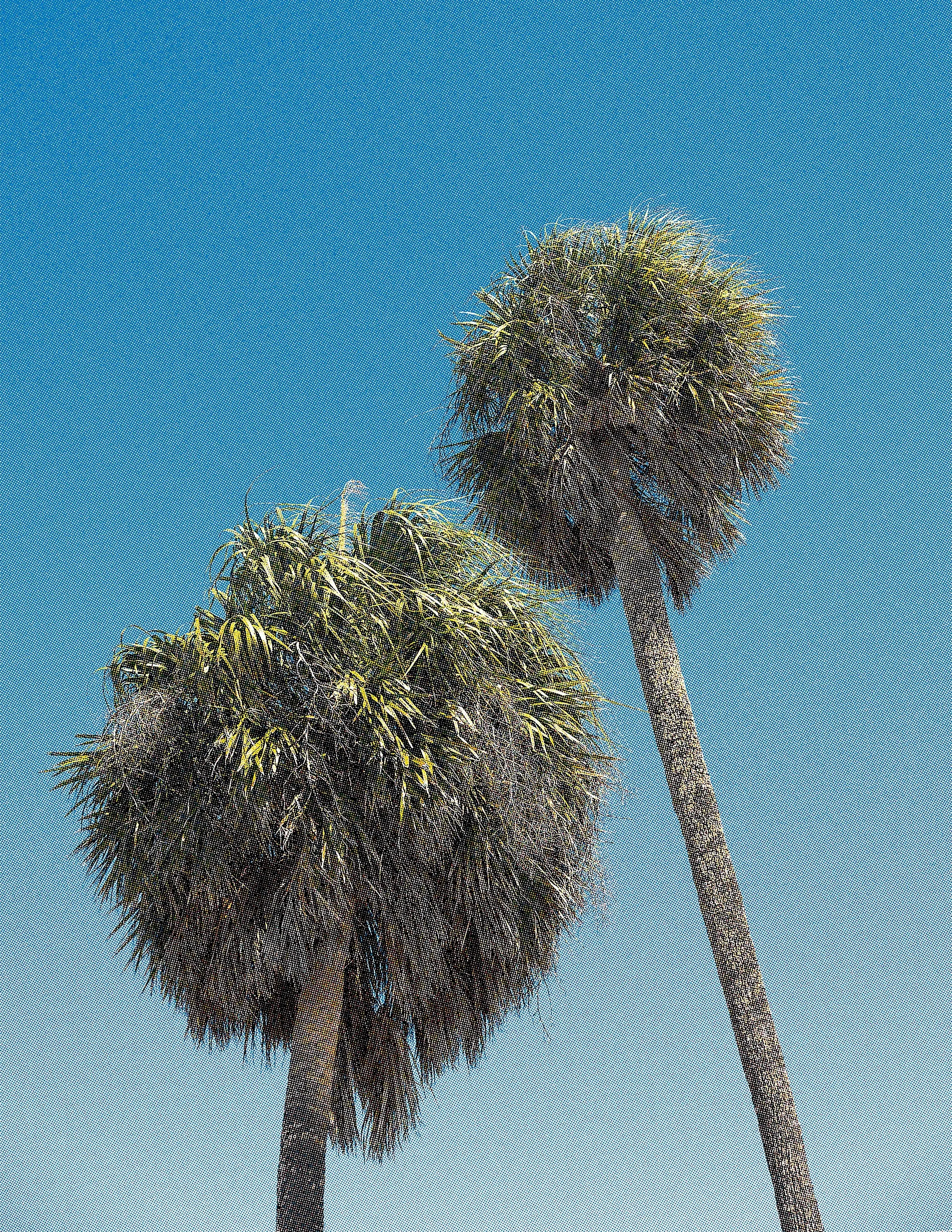 Painted Faces & Palmettos