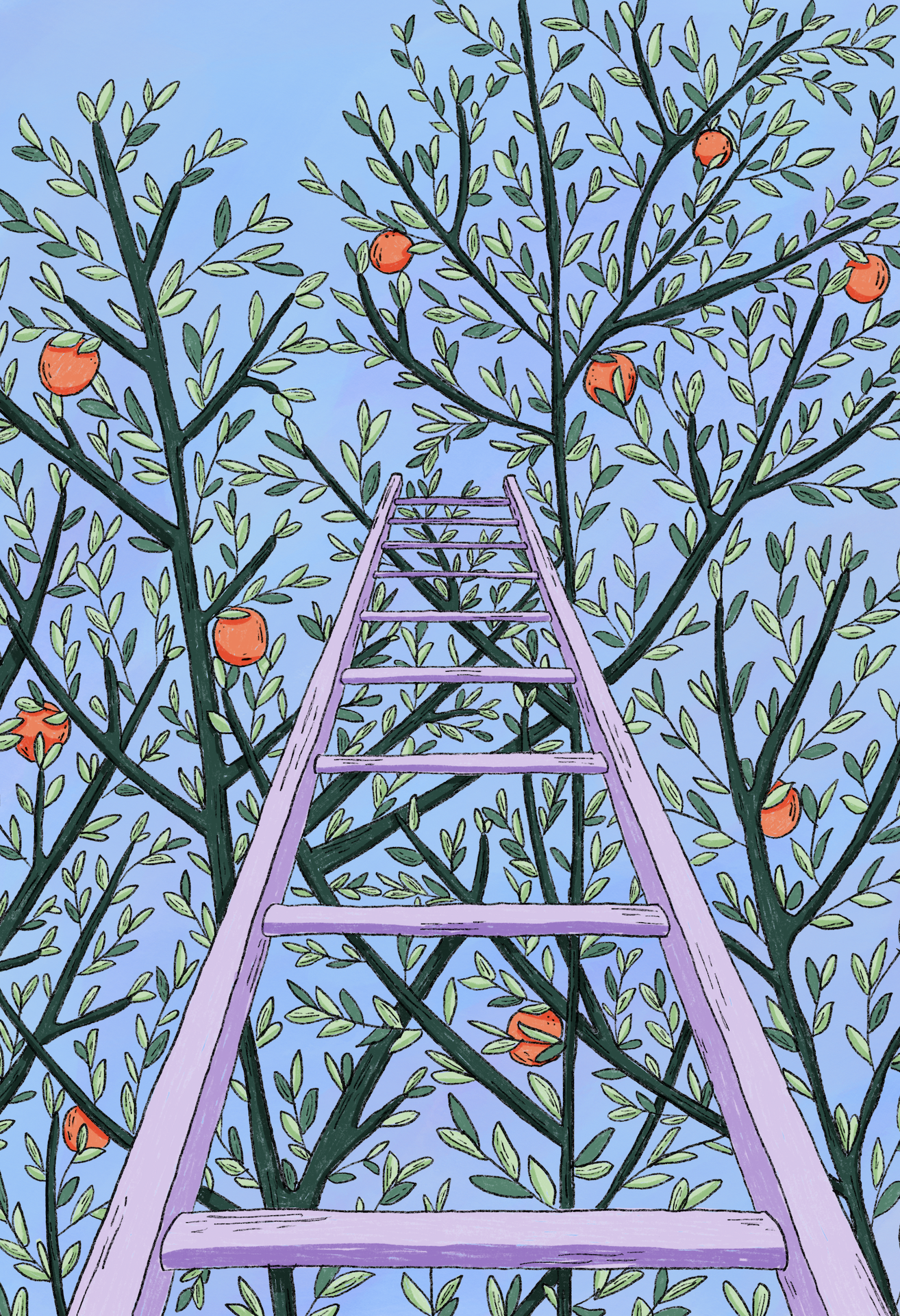 UP THE TREE