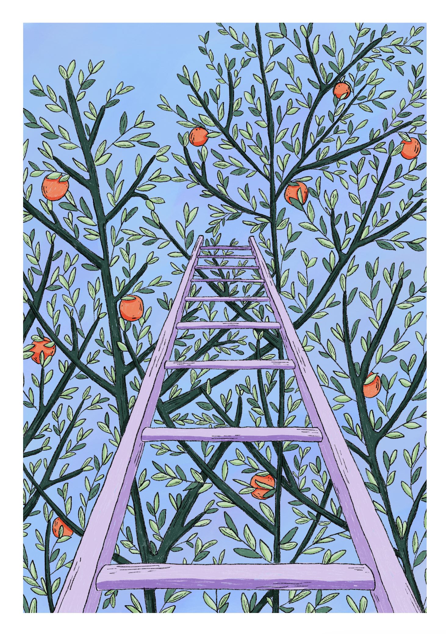 UP THE TREE